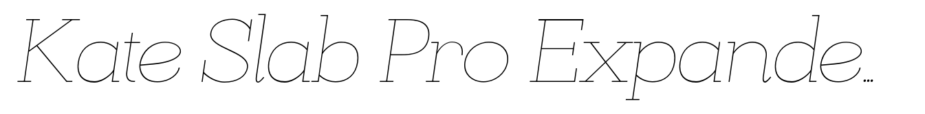 Kate Slab Pro Expanded 100 Thin Italic